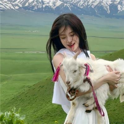 第十一个小时